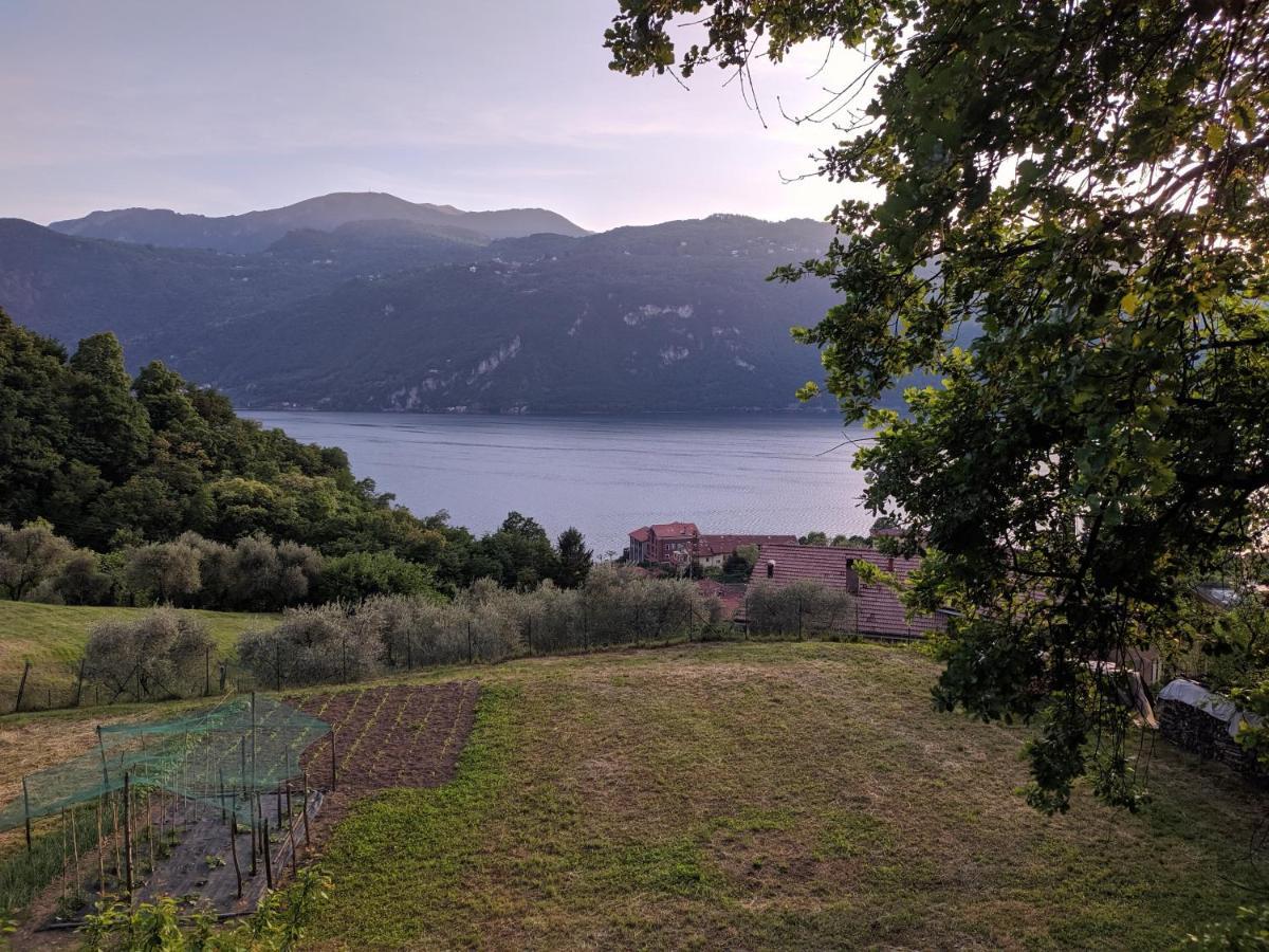 La Casetta Nel Bosco - Hot Tube And Sauna Lierna Kültér fotó